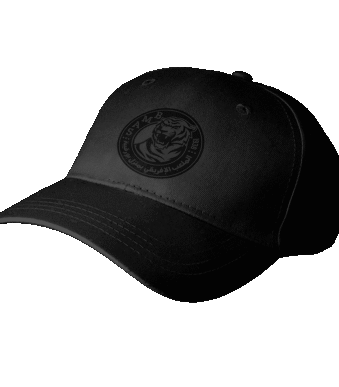 samb-casquette2.png
